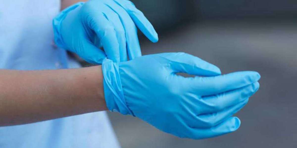 Hand Gloves Market Size, Growth and Analysis by Forecast to 2031